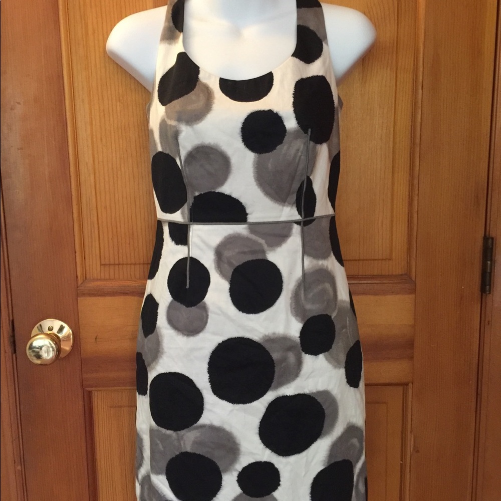 Ann Taylor Polka Dot Dress Size 0 Petite